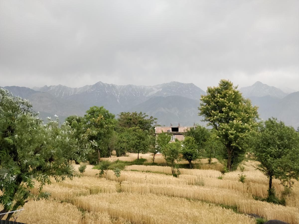 D'Polo Club & Spa Resort دارامشالا المظهر الخارجي الصورة