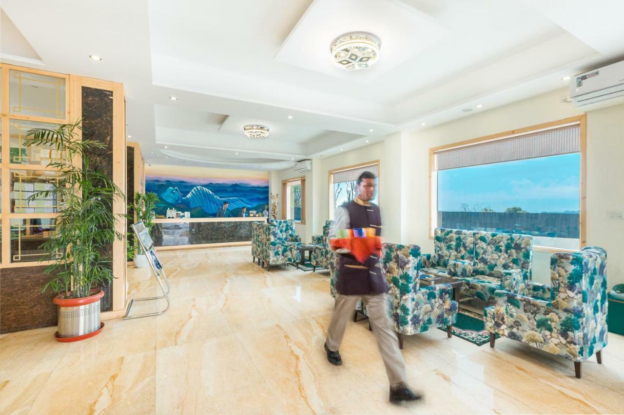 D'Polo Club & Spa Resort دارامشالا المظهر الخارجي الصورة