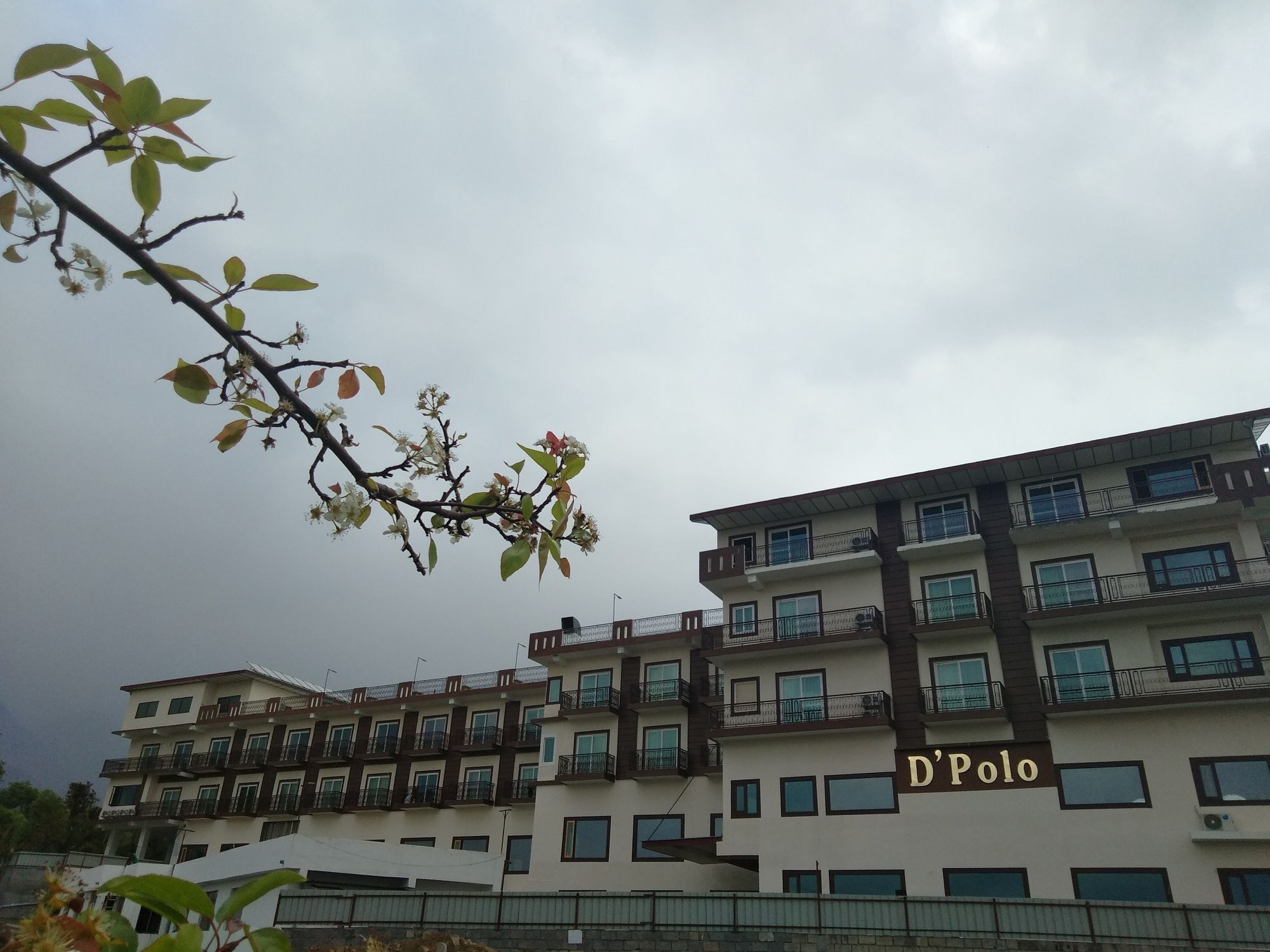 D'Polo Club & Spa Resort دارامشالا المظهر الخارجي الصورة